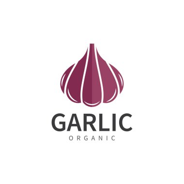 garlic vector icon illustration design template