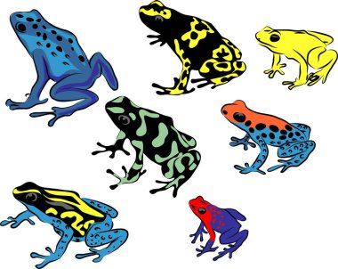 Zehirli ok kurbağaları - Dendrobates