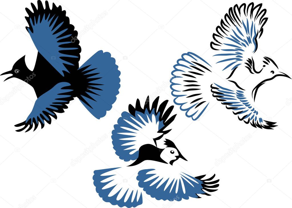 Stellers jay - stylized two colors vector illustration