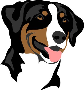Apenzeller sennenhund - stilize portre