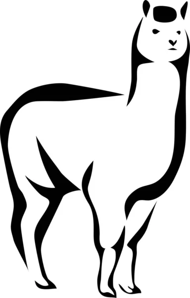 Alpaca Стилизованная Черно Белая Векторная Иллюстрация Векторная Графика