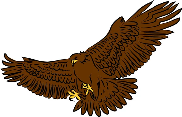 Golden Eagle Attacking Color Vector Illustration — Stock Vector