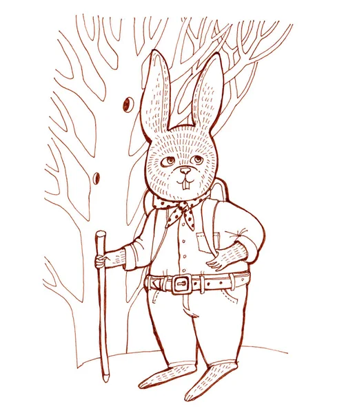 Raster Color Illustration Humanized Animal Rabbit Shirt Jeans Stands ...