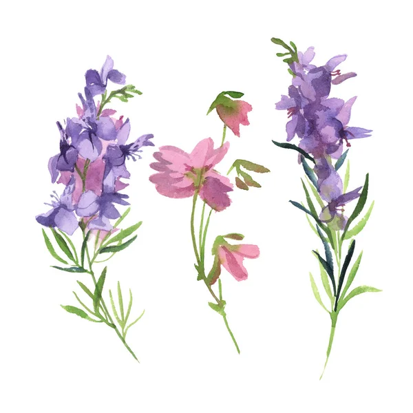 Illustrazione Acquerello Ramo Verde Con Rosa Viola Wildflower Isolato Sfondo — Foto Stock