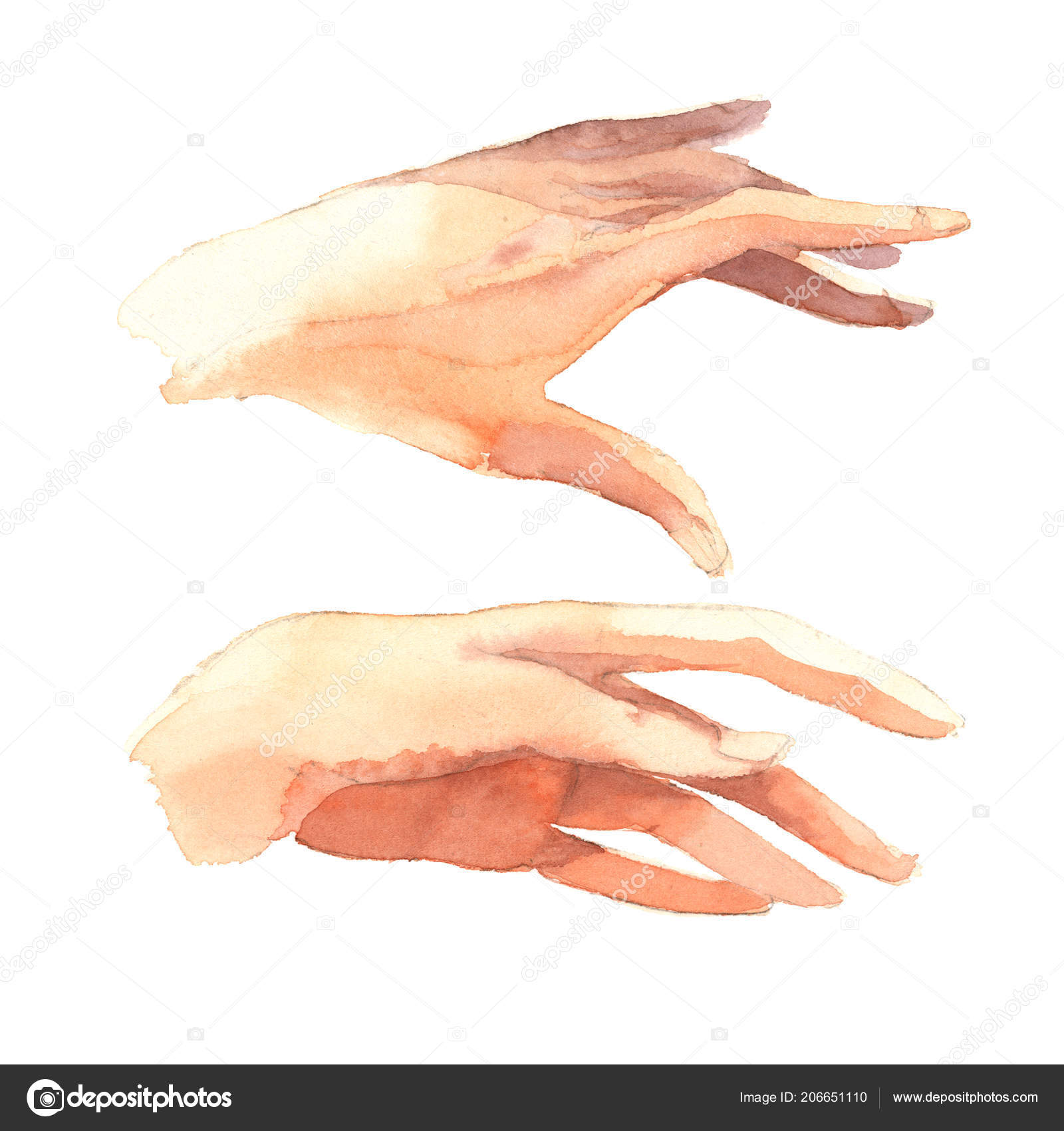 Hands Drawing Watercolor Illustration Realistic Sketch Sketch Woman Hand  Thin Stock Illustration by ©KatBuslaeva #206651110, image size:1600x1700