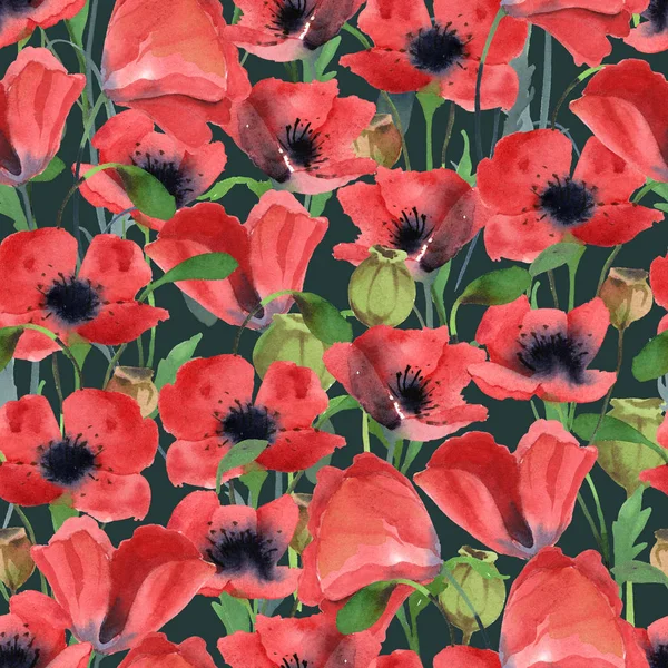 Illustrazione Acquerello Modello Senza Cuciture Fiori Papavero Rosso Foglie Testa — Foto Stock