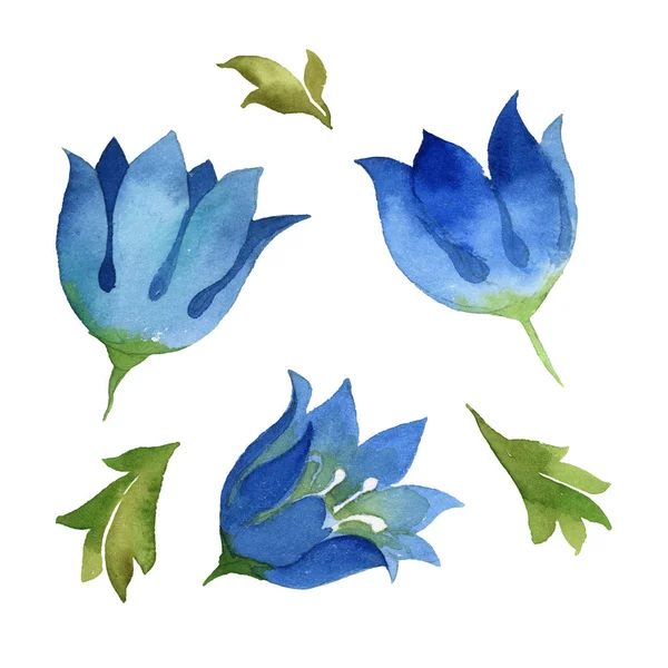 Illustrazione Acquerello Set Campanello Fiore Blu Con Foglie Verdi Isolate — Foto Stock