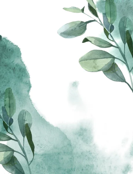 Акварельна Ілюстрація Вертикальний Фон Зеленого Листя Евкаліпта Зелена Фарба Сплеск — стокове фото