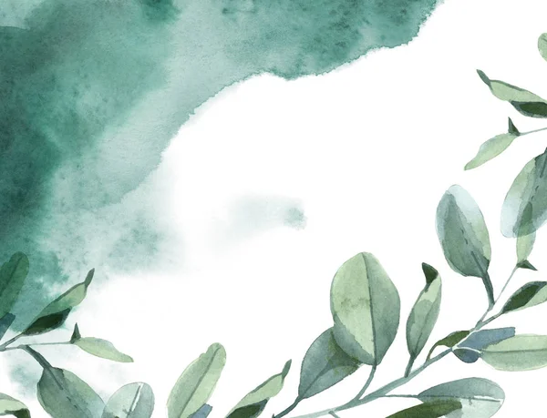 Illustrazione Acquerello Sfondo Orizzontale Foglie Eucalipto Verde Spruzzi Vernice Verde — Foto Stock