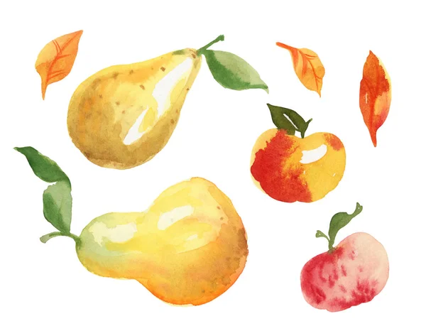 Ręcznie Malowane Akwarela Ilustracja Białym Tle Gruszka Jabłko Liść — Zdjęcie stockowe