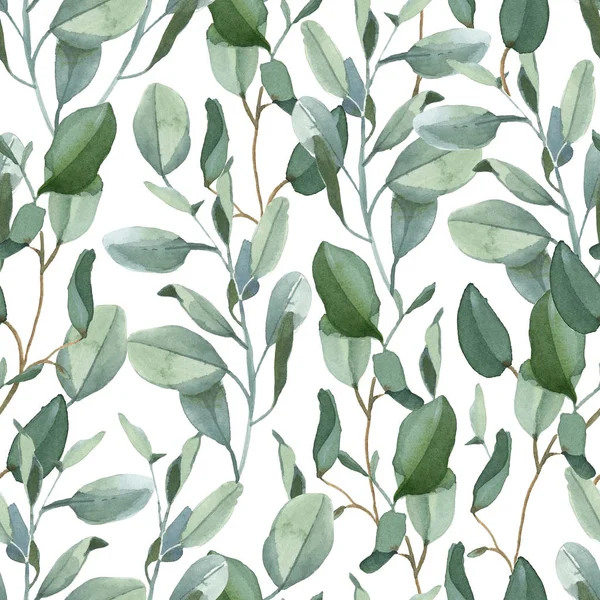 Illustration Aquarelle Modèle Sans Couture Feuilles Eucalyptus Vert Sur Fond — Photo