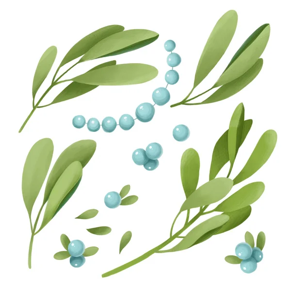 Christmas New Year Illustration Green Omela Branch White Blue Berry — Stock Photo, Image