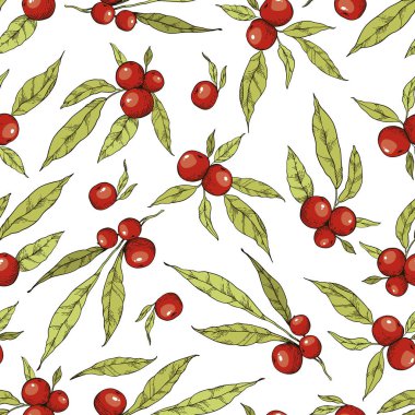 Beyaz arka plan üzerinde izole vektör illustratiom. Kahverengi ve sarı yaprakları ve kırmızı çilek sonbahar seamless modeli. Doku davet ve tebrik kartı, yazdırma ve boho ve rustik stile düğün için