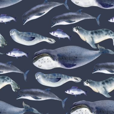 Sulu boya Dikişsiz desen deniz fauna hakkında. deniz hayvan. Gri yunus, balina, balık ve koyu arka plan üzerindeki mühür