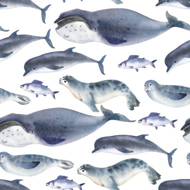Sulu boya Dikişsiz desen deniz fauna hakkında. deniz hayvan. Gri yunus, balina, balık ve beyaz zemin üzerine mühür