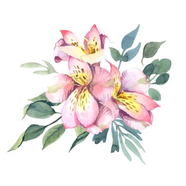Hafif pembe çiçekler ve yeşil yaprak suluboya çizimi. Şakayık ve blosom buket beyaz arka planda izole et. Çiçek öğe için düğün ve davet kartları, Sevgililer kartları ve baskılar için