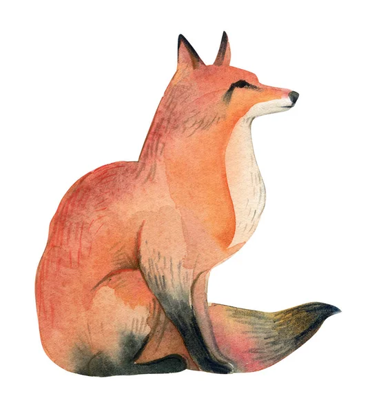 Ilustracja Akwarela Czerwony Dziki Fox Izolować Białym Tle Realistyczne Leśnych — Zdjęcie stockowe