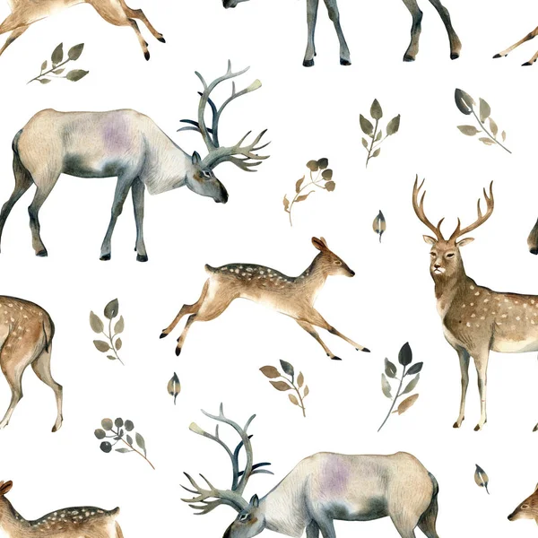 Aquarel Illustratie Van Wild Hert Hert Eland Bladeren Een Witte — Stockfoto
