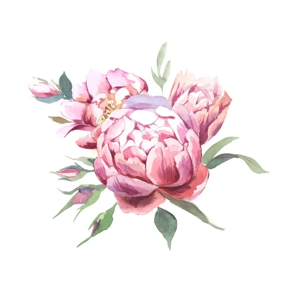 Акварельна Ілюстрація Світло Рожевих Квітів Зеленого Листя Букет Півоній Квітів — стокове фото