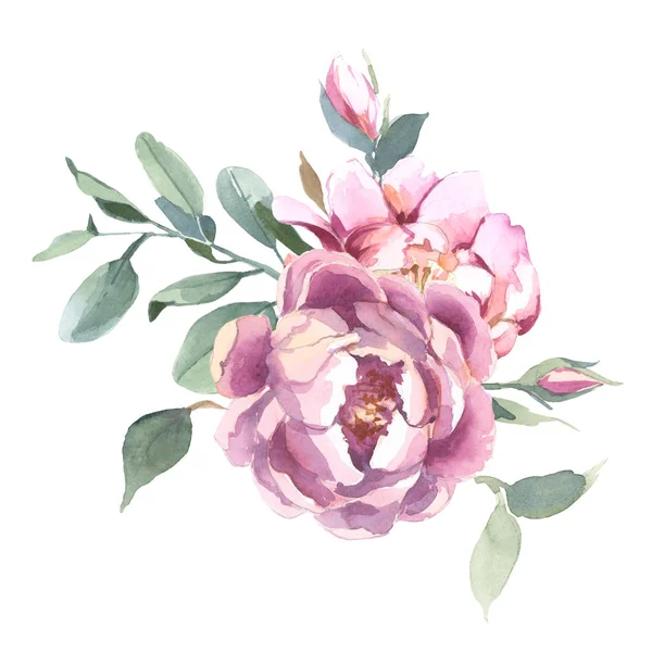 Illustration Aquarelle Fleurs Rose Clair Feuilles Vertes Bouquet Pivoine Fleurs — Photo