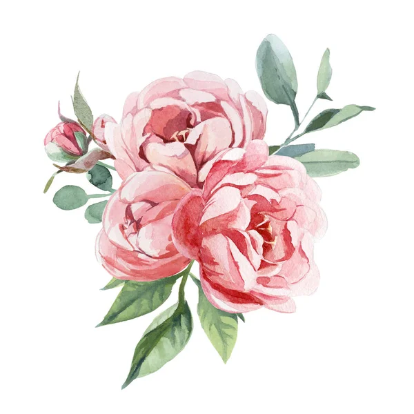 Akvarell Ábrán Világos Rózsaszín Virágok Zöld Levelek Pünkösdi Rózsa Blosom — Stock Fotó