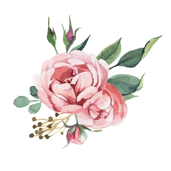 Watercolor illustration of light pink flowers and green leaves. Bouquet of peony and blosom flowers isolate in white background. Floral element for wedding and invitation cards, for valentine cards and prints