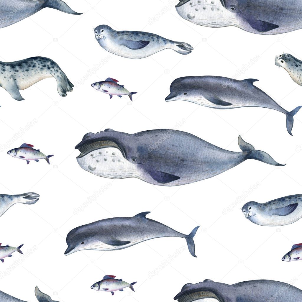 Seamless watercolor pattern about sea fauna. marine animal. Gray dolphin, whale, fish and seal on white background