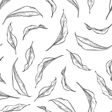 Siyah ve beyaz kalem kroki çizimi yaprakları. Kesintisiz p