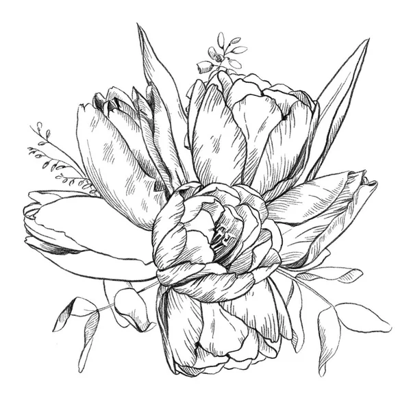 Czarno-biały ołówek szkic ilustracji, bukiet tulipanów. — Zdjęcie stockowe