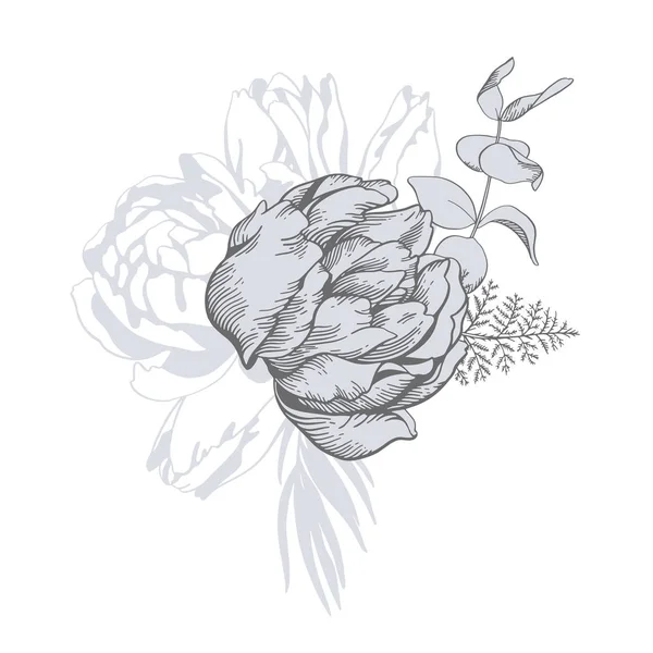 Croquis linéaire vectoriel noir et blanc illustration, bouquet de tuli — Image vectorielle