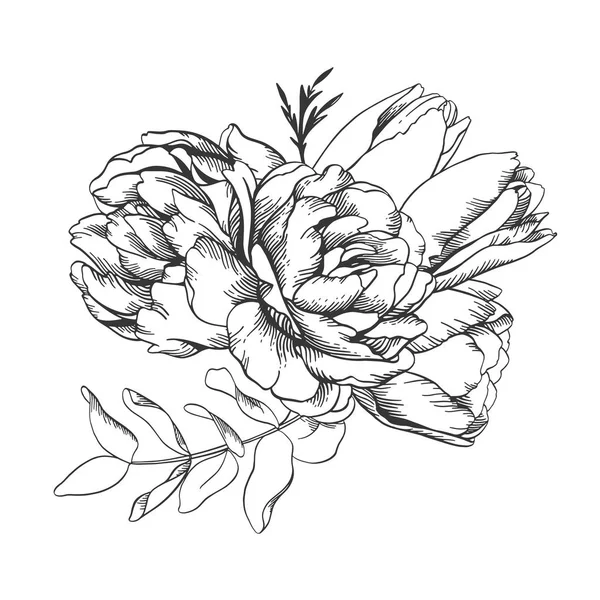 Croquis linéaire vectoriel noir et blanc illustration, bouquet de tuli — Image vectorielle