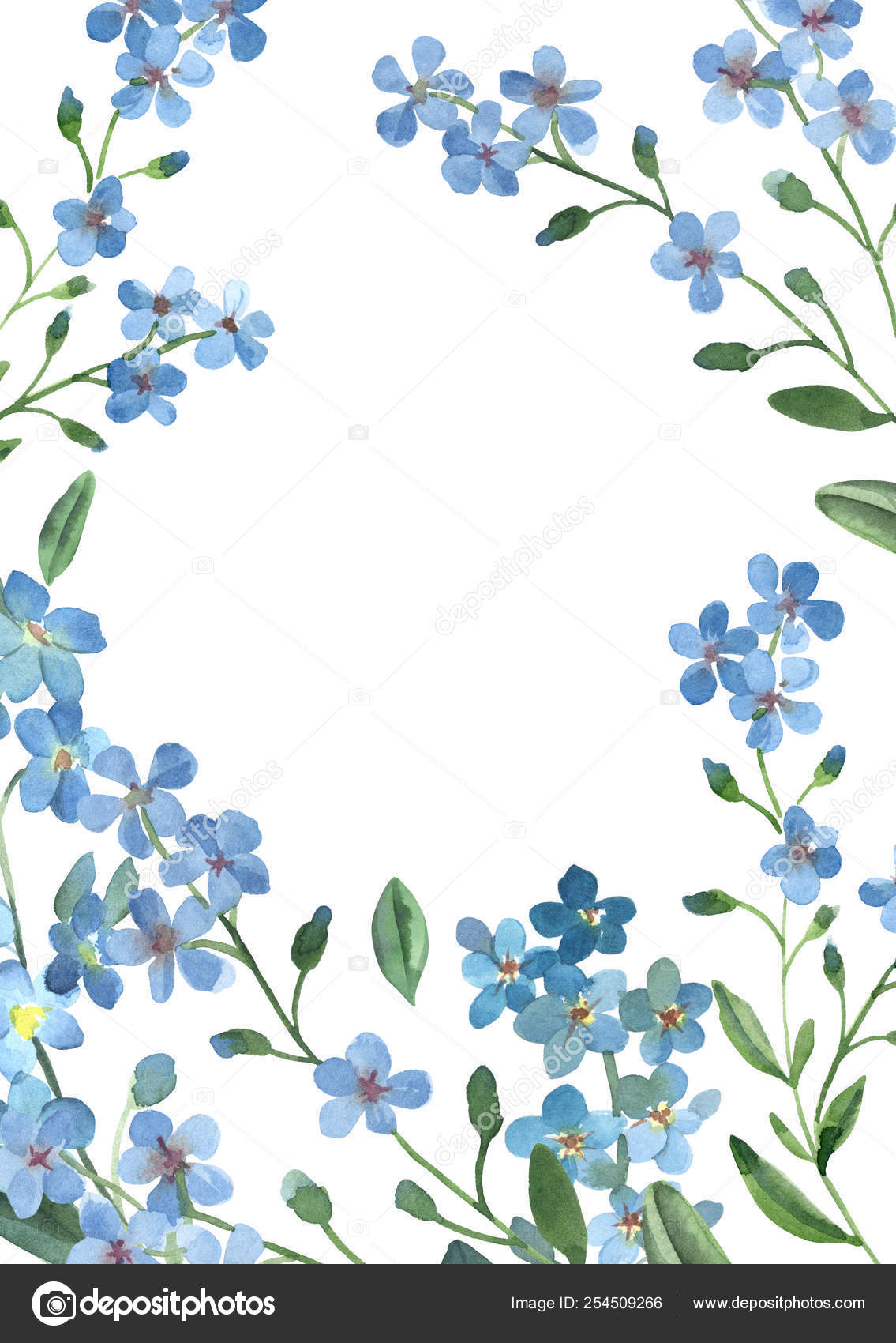 Watercolor Blue Forget Me Not With Green Leaves On White Stock Photo By C Katbuslaeva Watercolor Blue Forget Me Not With Green Leaves On White Stock Photo By C Katbuslaeva