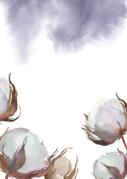 Акварельний фон з бавовняними бруньками зі сплеском фарби — стокове фото