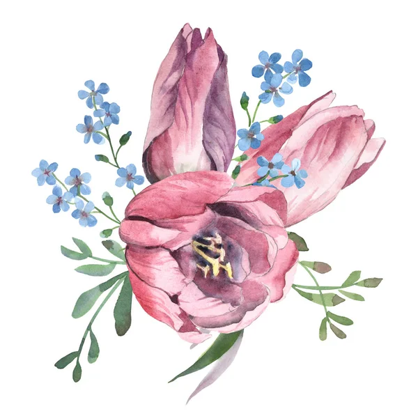 Bouquet aquarelle de tulipes et d'oublier-moi-pas isoler en blanc — Photo