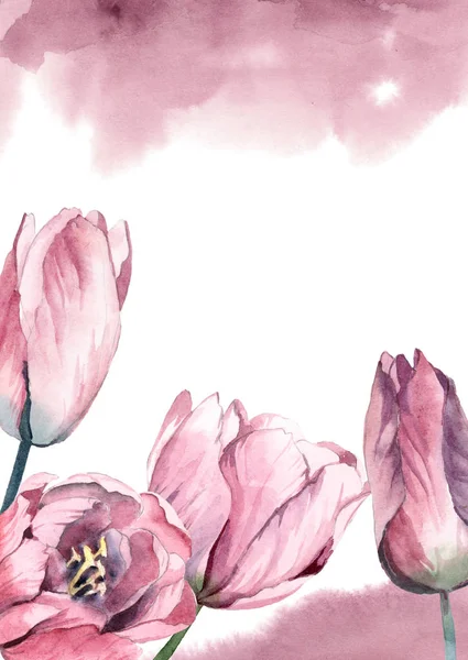 Tulipes roses aquarelle avec éclaboussure de peinture rose sur blanc — Photo