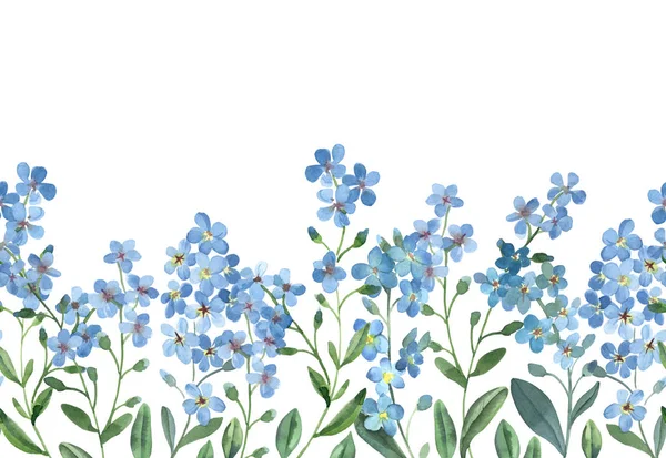 Aquarel naadloze rand van blauwe forget-me-not met blad — Stockfoto