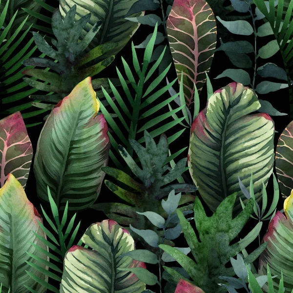 Akwarela bez szwu wzór tropikalnej dłoni i liści na ciemnym — Zdjęcie stockowe