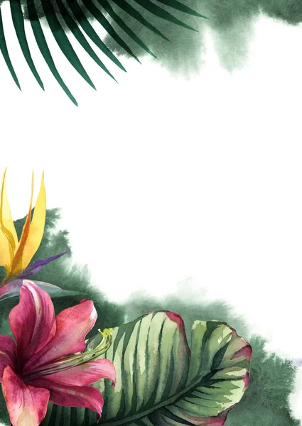 watercolor red tropical flowers with green palm leaf with paint
