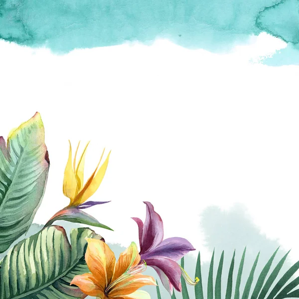 Akwarela jasne tropikalne kwiaty z zielonym liści palmowych z Pai — Zdjęcie stockowe