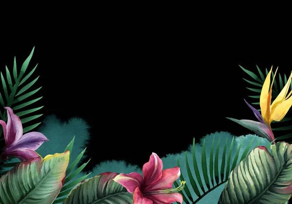 Acquerello piante tropicali sfondo. Foglie di palma esotiche, giungla — Foto Stock