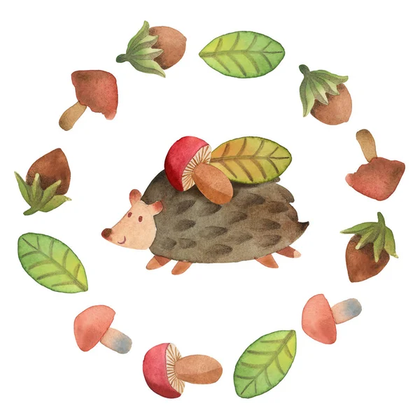 Маленький ёжик с грибами и листьями, окружённый венком. — стоковое фото