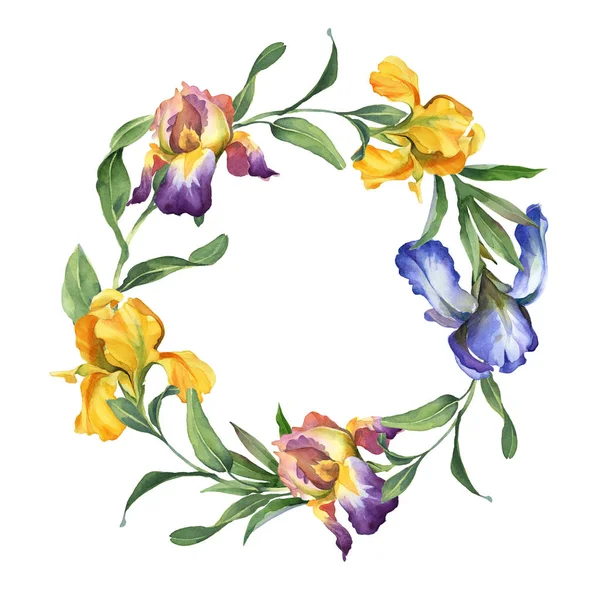 虹彩の花と葉がアイリスの花と水彩のカラフルな花輪 — ストック写真