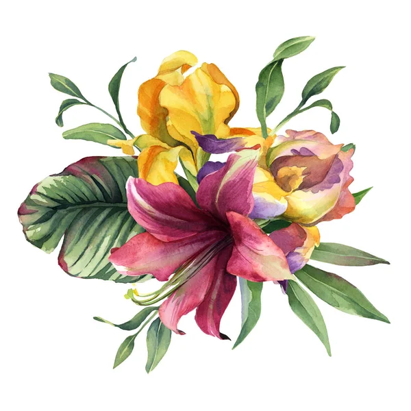 Akwarela kolorowy bukiet z tęczówki kwiat i tropikalny kwiat — Zdjęcie stockowe