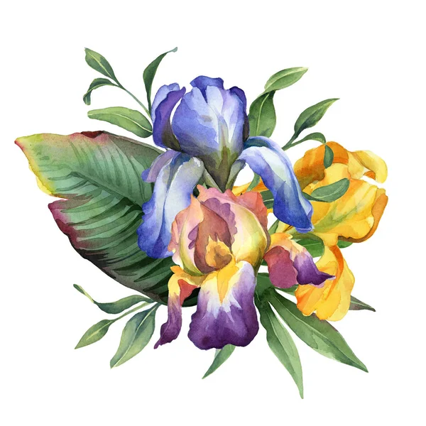 Aquarel kleurrijke boeket met Iris bloem en tropische bladeren — Stockfoto