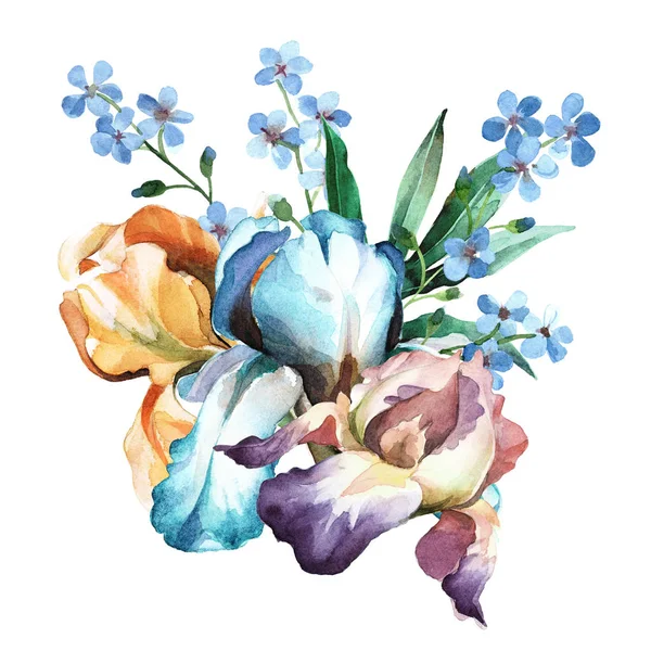 Акварельний барвистий букет з квіткою ірису, забудь-який і — стокове фото