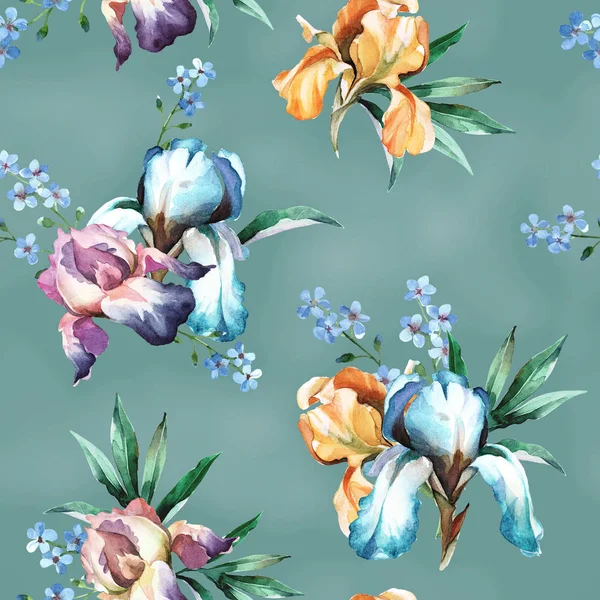 Akvarell sömlösa mönster av färgglada bukett med Iris blomma — Stockfoto