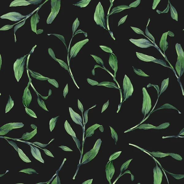 Akwarela bez szwu wzór z zielonych maleńkich liści na ciemnym ciemny — Zdjęcie stockowe