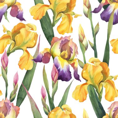  Mor ve sarı iris çiçek ve yaprakların dikişsiz desen i