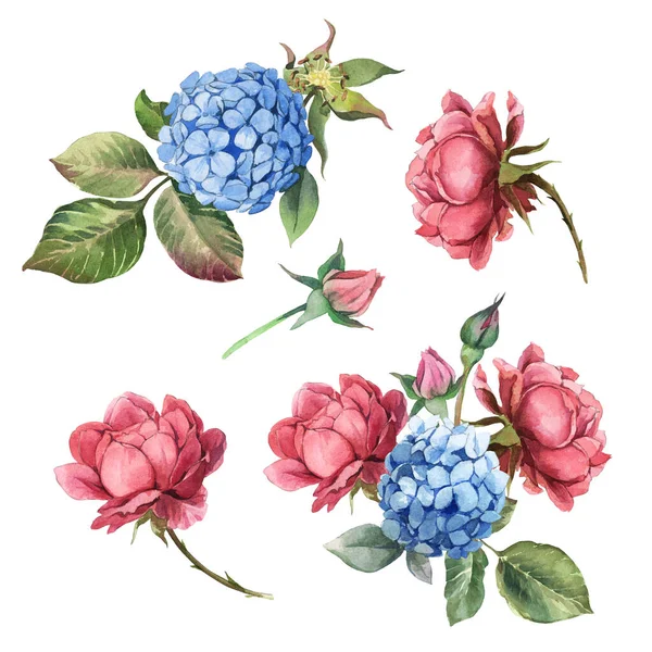 Aquarel Realistische Bloemen Roze Roos Blauwe Hortensia Met Bladeren Geïsoleerd — Stockfoto