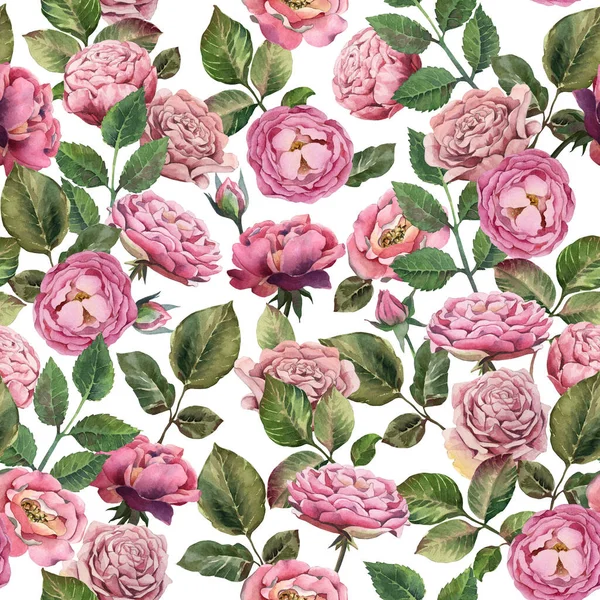 Akvarell Csokor Rózsaszín Rózsa Levelek Fehér Háttér Shabby Stílusú Virágok — Stock Fotó